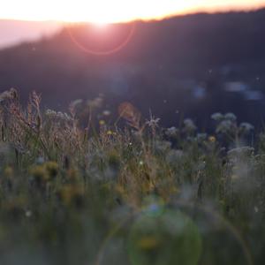 阿娇与冠希13分26秒的背景故事
