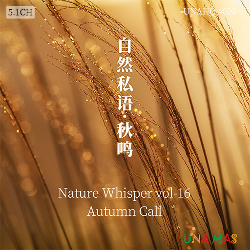 阿娇与冠希13分26秒的背景故事
